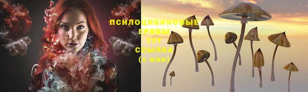 PSILOCYBIN Богородск