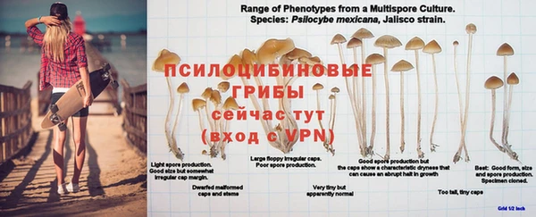 альфа пвп Богородицк
