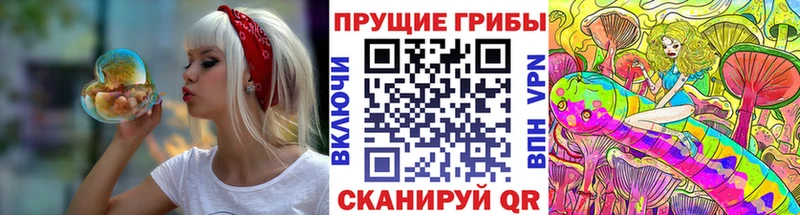 Галлюциногенные грибы MAGIC MUSHROOMS  Кизляр 